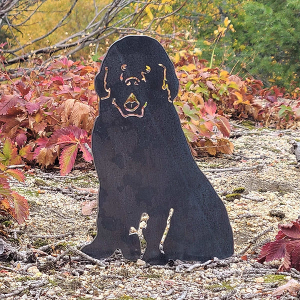 Newfoundland Corten steel dog silhouette, raw polished steel finish – My Metal Rescue