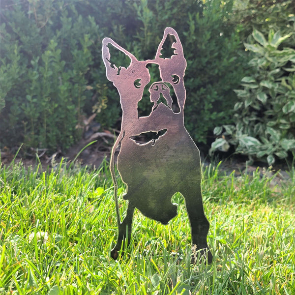 Boston Terrier Corten steel dog silhouette, raw polished steel finish – My Metal Rescue