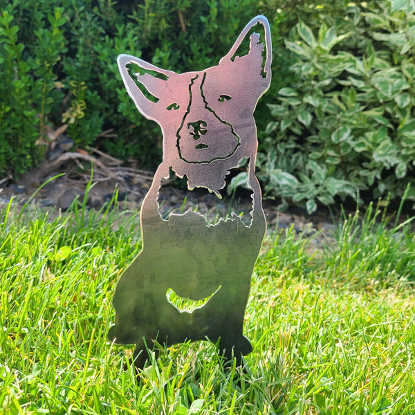 Blue Heeler Corten steel dog silhouette, raw polished steel finish – My Metal Rescue