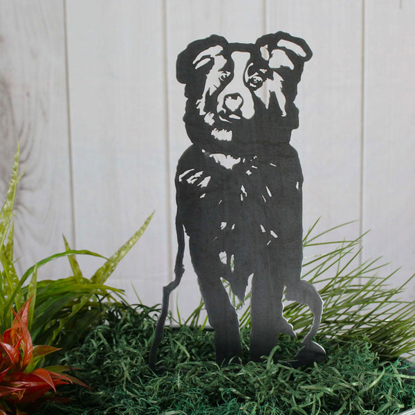 Australian Shepherd Corten steel dog silhouette, raw polished steel finish – My Metal Rescue