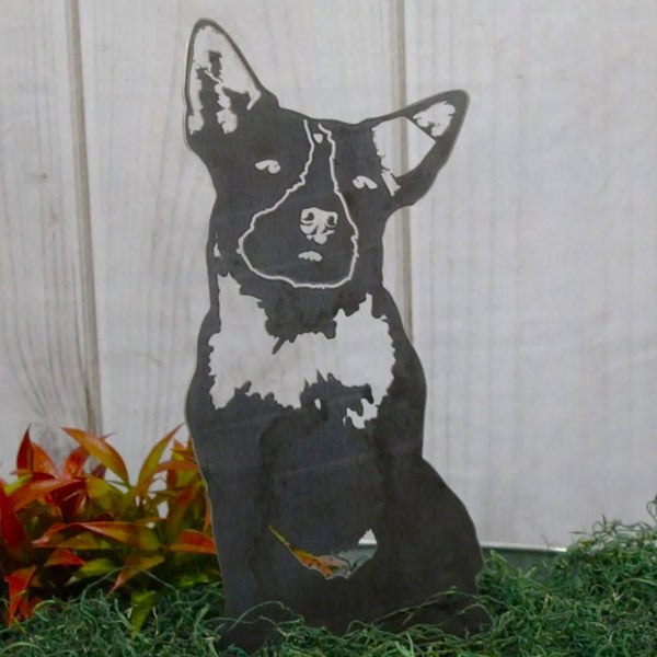 Blue Heeler Corten steel dog silhouette, raw polished steel finish – My Metal Rescue