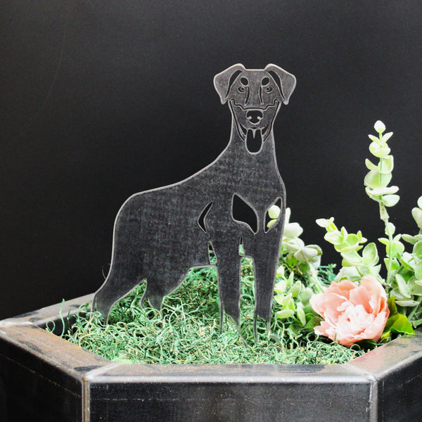 Doberman Pinscher Natural Ear Corten steel dog silhouette, raw polished steel finish – My Metal Rescue