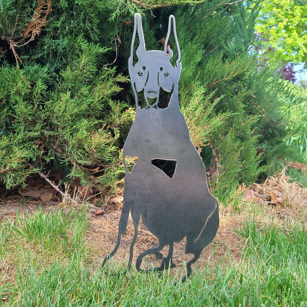 Doberman Pinscher Cropped Ear Corten steel dog silhouette, raw polished steel finish, shown outdoors – My Metal Rescue