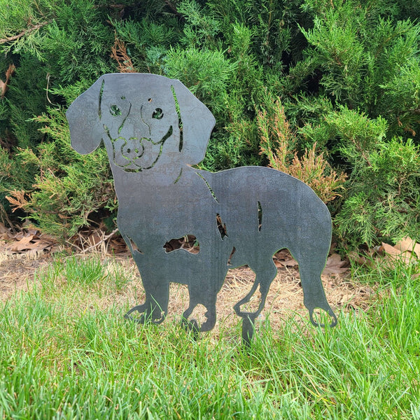 Dachshund Shorthaired Corten steel dog silhouette, raw polished steel finish, shown outdoors – My Metal Rescue
