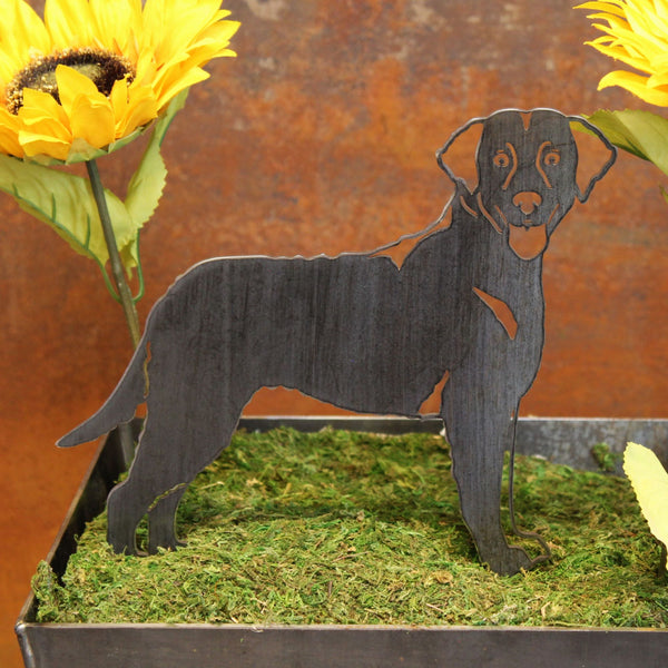 Curly Coated Retriever Corten steel dog silhouette, raw polished steel finish – My Metal Rescue