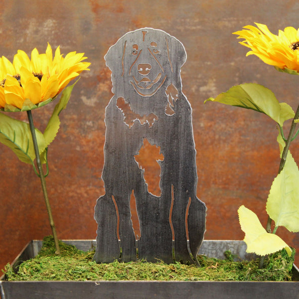 Leonberger Corten steel dog silhouette, raw polished steel finish – My Metal Rescue