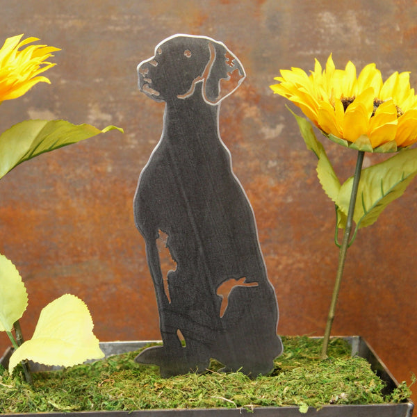 Vizsla Corten steel dog silhouette, raw polished steel finish – My Metal Rescue