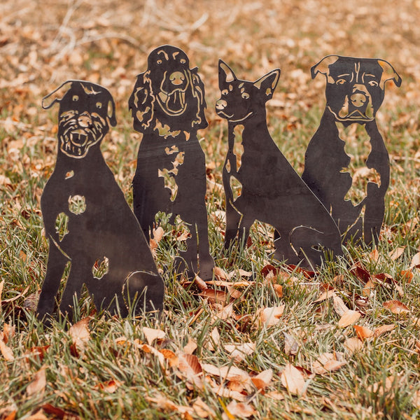 Rat Terrier Corten steel dog silhouette, raw polished steel finish – My Metal Rescue