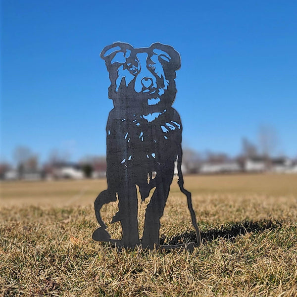 Australian Shepherd Corten steel dog silhouette, raw polished steel finish, shown outdoors – My Metal Rescue