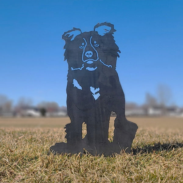 Border Collie Corten steel dog silhouette, raw polished steel finish, shown outdoors – My Metal Rescue