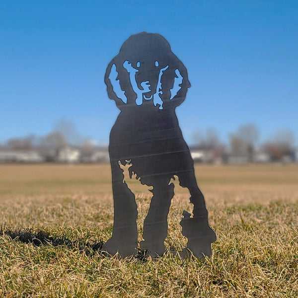 Poodle Corten steel dog silhouette, raw polished steel finish, shown outdoors – My Metal Rescue
