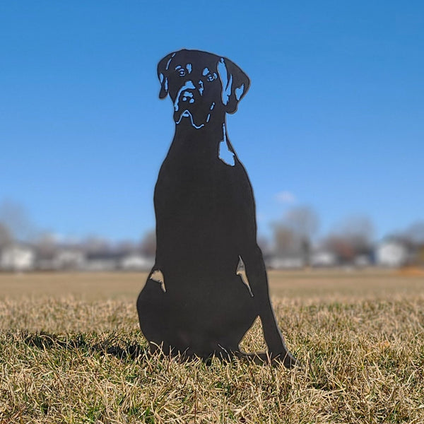 German Shorthaired Pointer Corten steel dog silhouette, raw polished steel finish, shown outdoors – My Metal Rescue