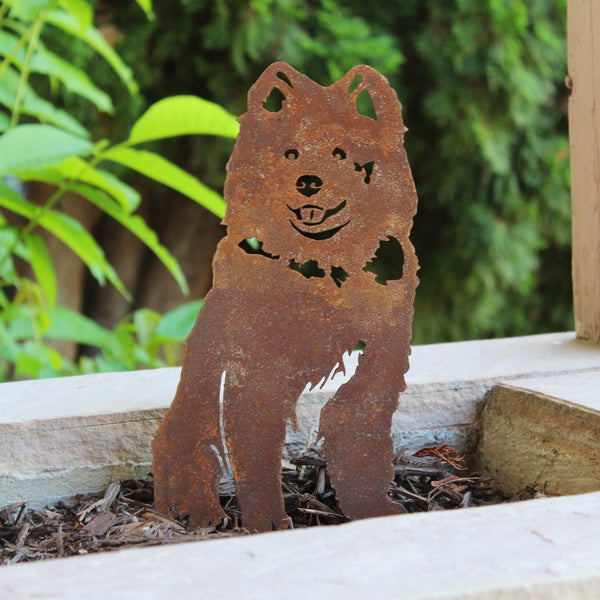 Samoyed Corten steel dog silhouette, rusted patina finish, shown outdoors – My Metal Rescue