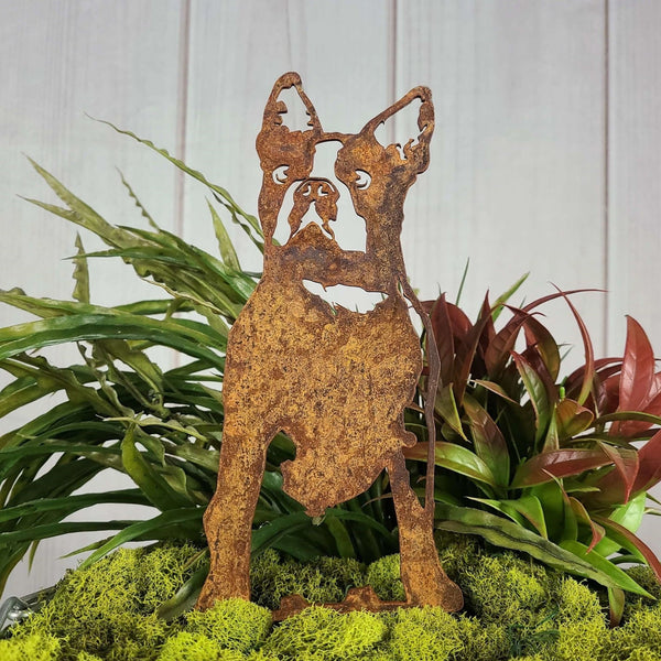 Boston Terrier Corten steel dog silhouette, rusted patina finish – My Metal Rescue
