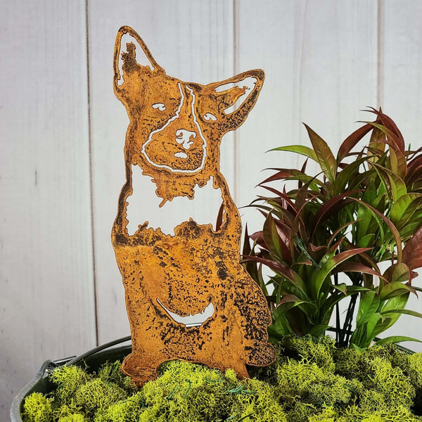 Australian Cattle Dog Corten steel dog silhouette, rusted patina finish – My Metal Rescue