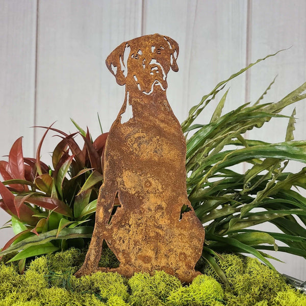German Shorthaired Pointer Corten steel dog silhouette, rusted patina finish – My Metal Rescue