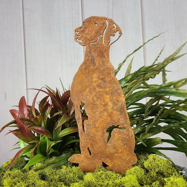 Rhodesian Ridgeback Corten steel dog silhouette, rusted patina finish – My Metal Rescue
