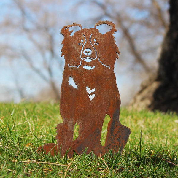 Border Collie Corten steel dog silhouette, rusted patina finish, shown outdoors – My Metal Rescue