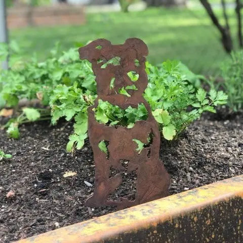 Schnauzer Corten steel dog silhouette, rusted patina finish, shown outdoors – My Metal Rescue