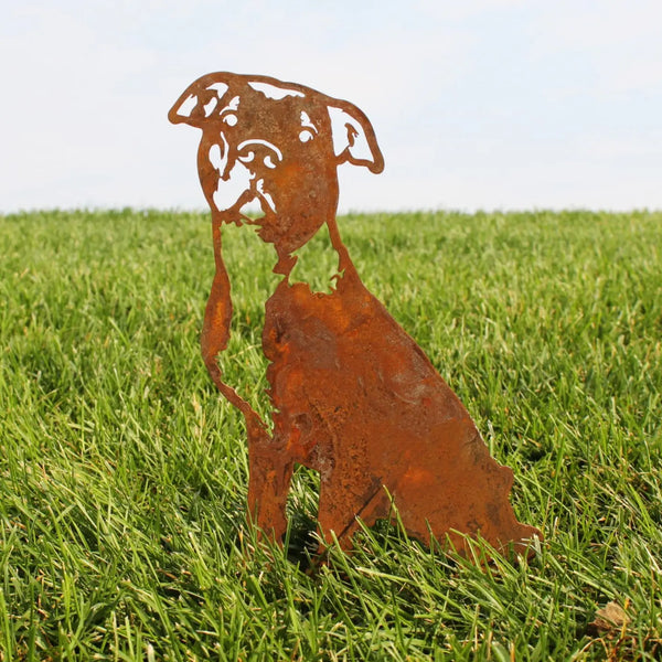 American Pit Bull Terrier Corten steel dog silhouette, rusted patina finish, shown outdoors – My Metal Rescue