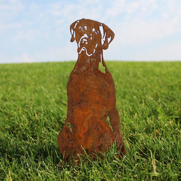 German Shorthaired Pointer Corten steel dog silhouette, rusted patina finish, shown outdoors – My Metal Rescue