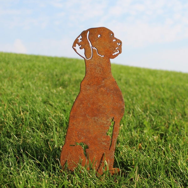 Vizsla Corten steel dog silhouette, rusted patina finish, shown outdoors – My Metal Rescue