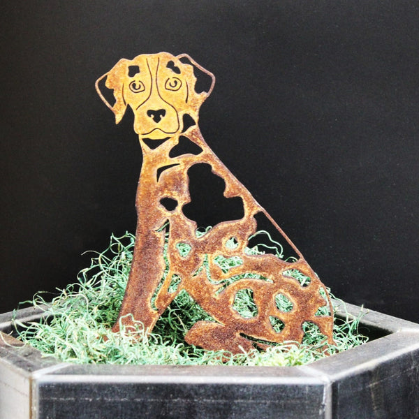 Catahoula Leopard Dog Corten steel dog silhouette, rusted patina finish – My Metal Rescue