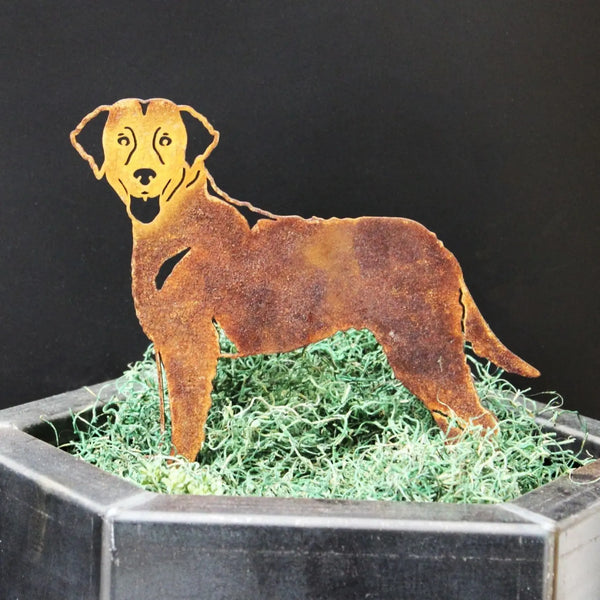 Curly Coated Retriever Corten steel dog silhouette, rusted patina finish – My Metal Rescue
