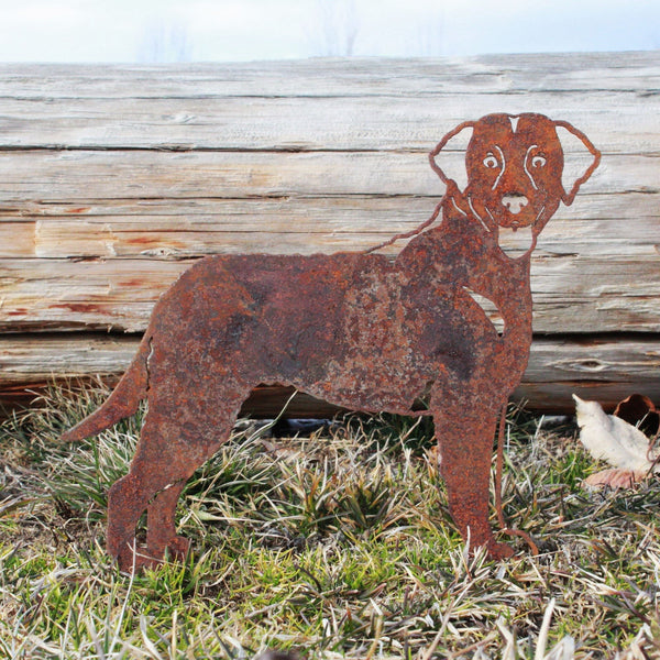Curly Coated Retriever Corten steel dog silhouette, rusted patina finish – My Metal Rescue