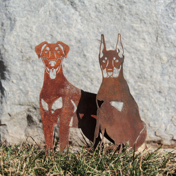 Doberman Pinscher Natural Ear Corten steel dog silhouette, rusted patina finish – My Metal Rescue