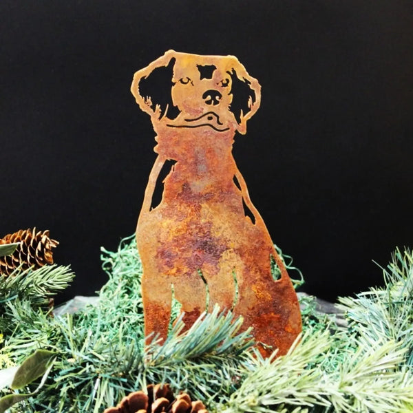 Nova Scotia Duck Tolling Retriever Corten steel dog silhouette, rusted patina finish, shown outdoors – My Metal Rescue