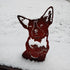 Australian Cattle Dog