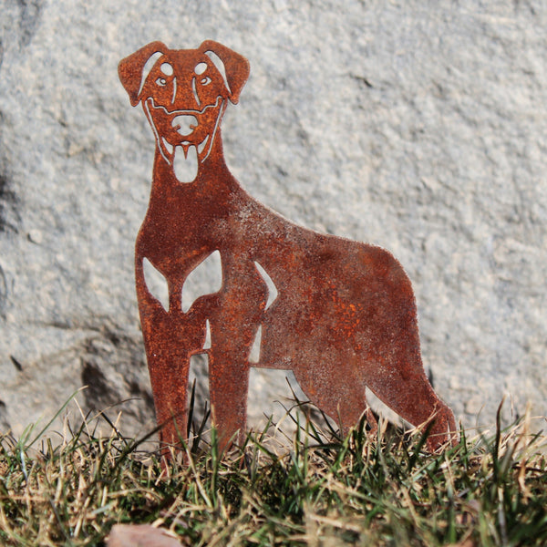 Doberman Pinscher Natural Ear Corten steel dog silhouette, rusted patina finish, shown outdoors – My Metal Rescue