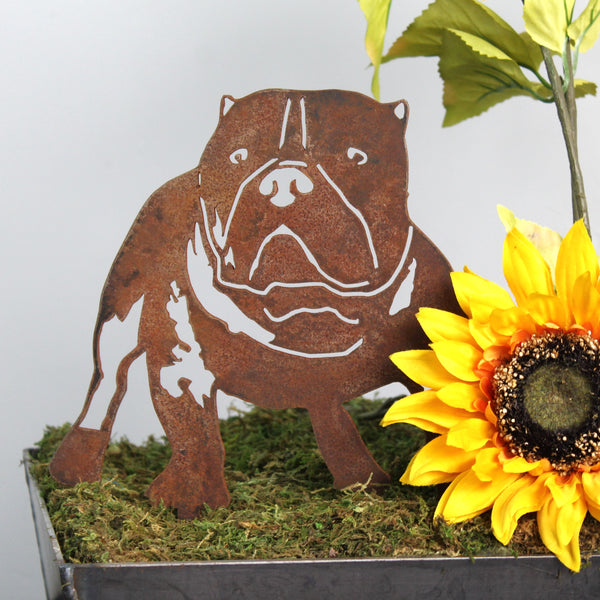 American Bully Corten steel dog silhouette, rusted patina finish – My Metal Rescue