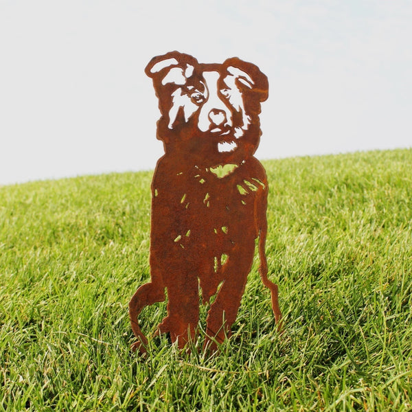 Australian Shepherd Corten steel dog silhouette, rusted patina finish, shown outdoors – My Metal Rescue