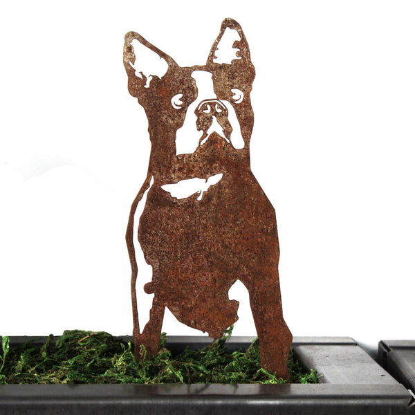 Boston Terrier Corten steel dog silhouette, rusted patina finish – My Metal Rescue
