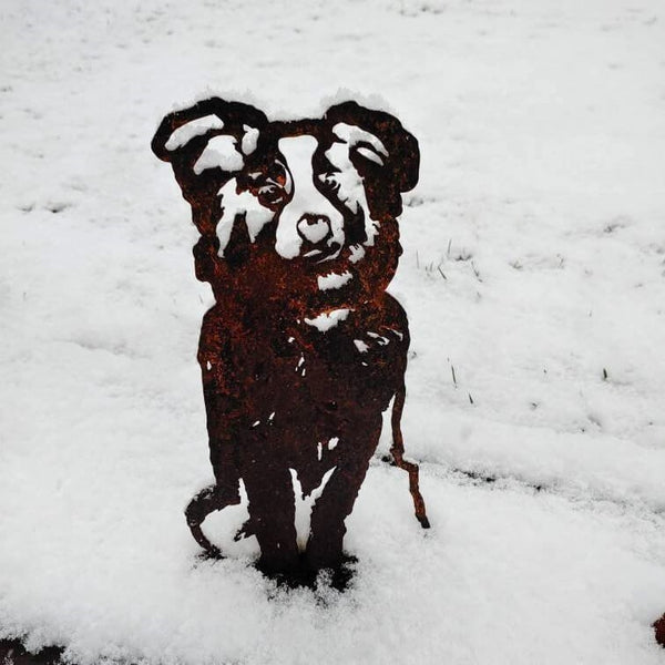 Australian Shepherd Corten steel dog silhouette, rusted patina finish – My Metal Rescue