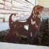 Afghan Hound
