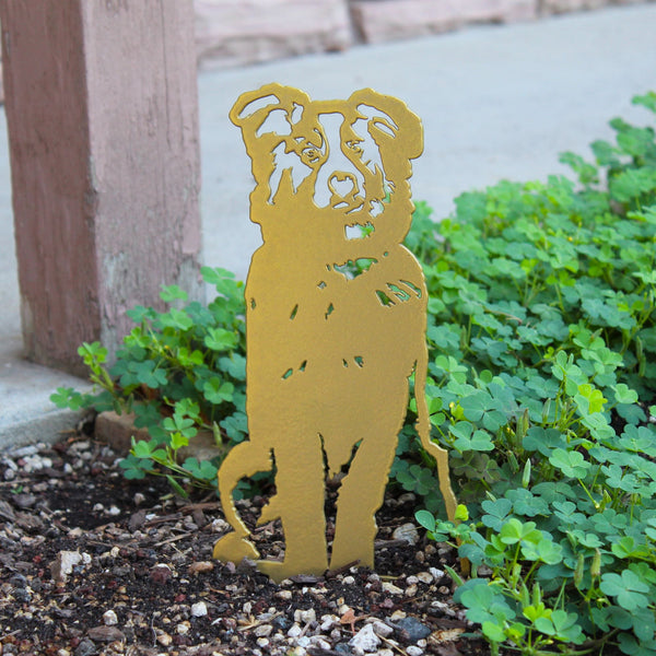 Gold Australian Shepherd Corten steel dog silhouette – My Metal Rescue