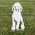 Poodle