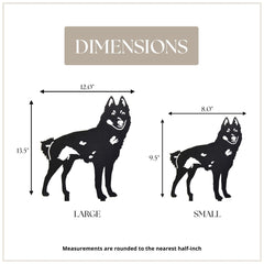 Schipperke