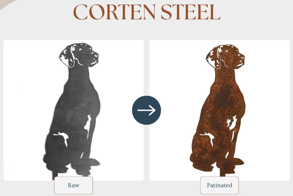 Silhouette of a dog before and after patina on a white background.