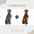 Rhodesian Ridgeback