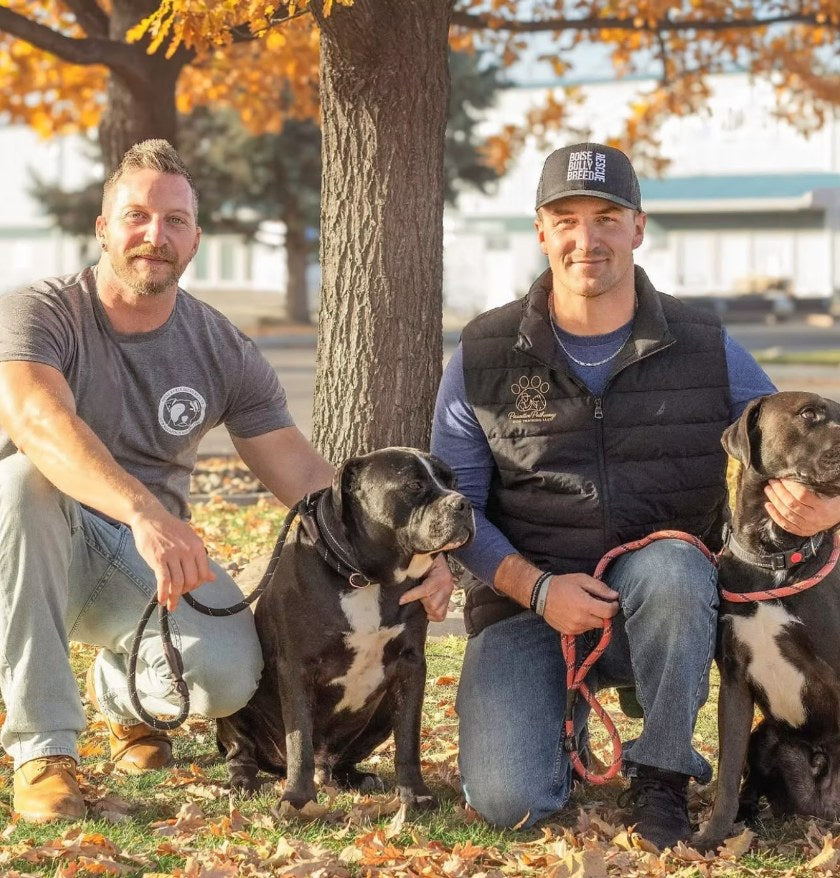 Two Boise Bully Breed Rescue handlers kneeling with two rescued bully breed dogs under autumn trees